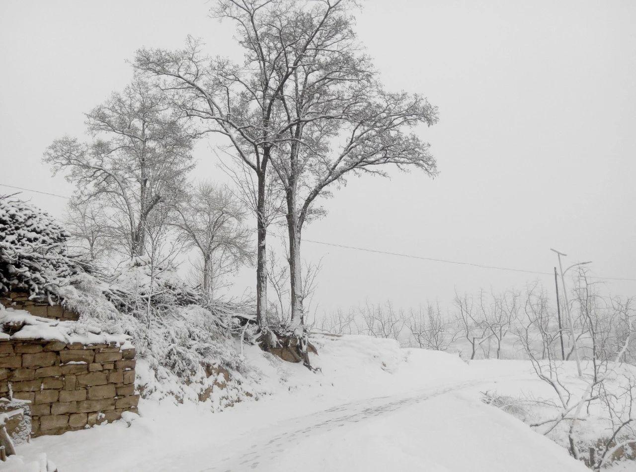 冬景似春华，莫负好时光（分享8首经典咏雪诗词）