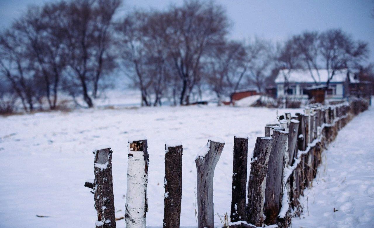 冬景似春华，莫负好时光（分享8首经典咏雪诗词）