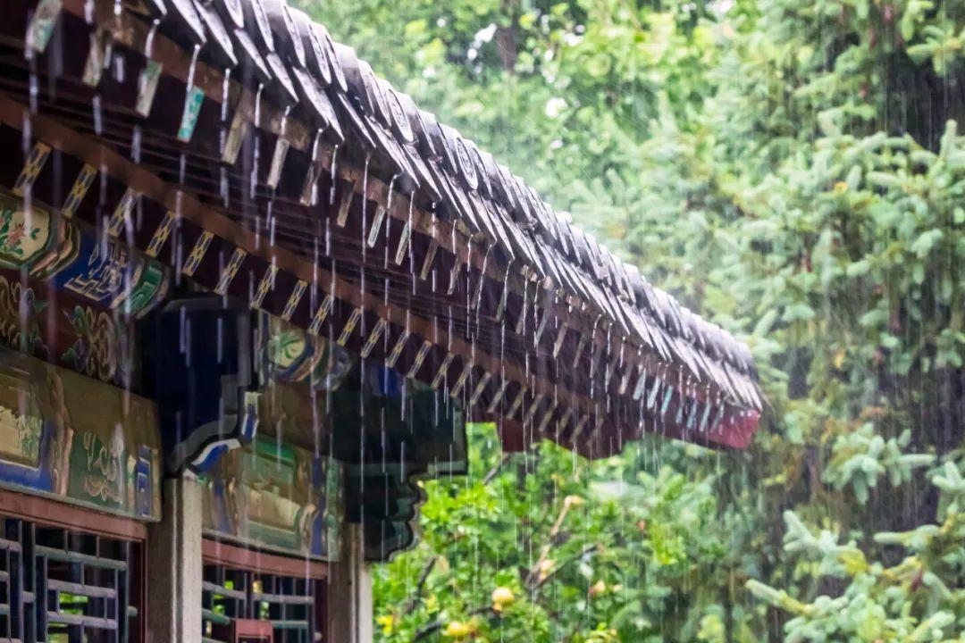 夏雨经典诗词大全（24首夏雨优美诗词）