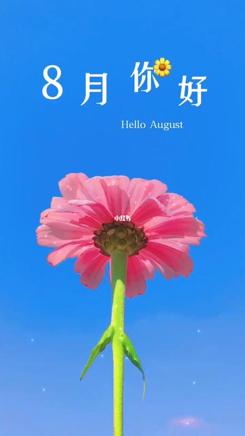 再见7月你好8月的说说（再见七月八月，你好正能量）