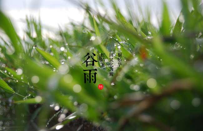 谷雨节气祝福语大全简短一句话（唯美句子，传递温暖与祝福）