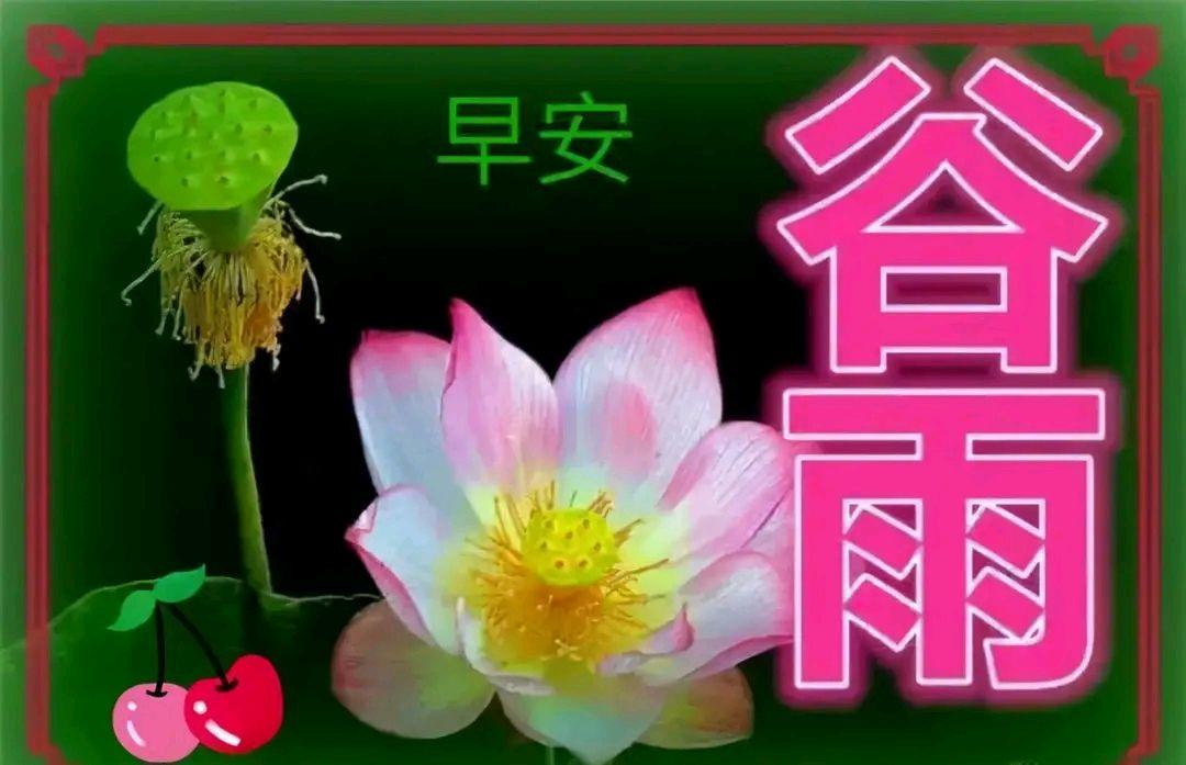 谷雨节气祝福语大全简短一句话（唯美句子，传递温暖与祝福）