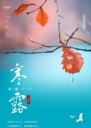 2018寒露节气短信祝福语录（2023年寒露节气祝福语）