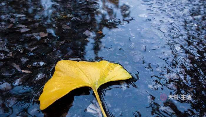 关于雨的句子简短的句子（雨，那时那刻，如此唯美）