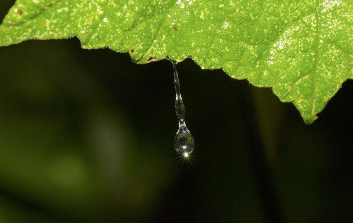 关于雨的句子简短的句子（雨，那时那刻，如此唯美）