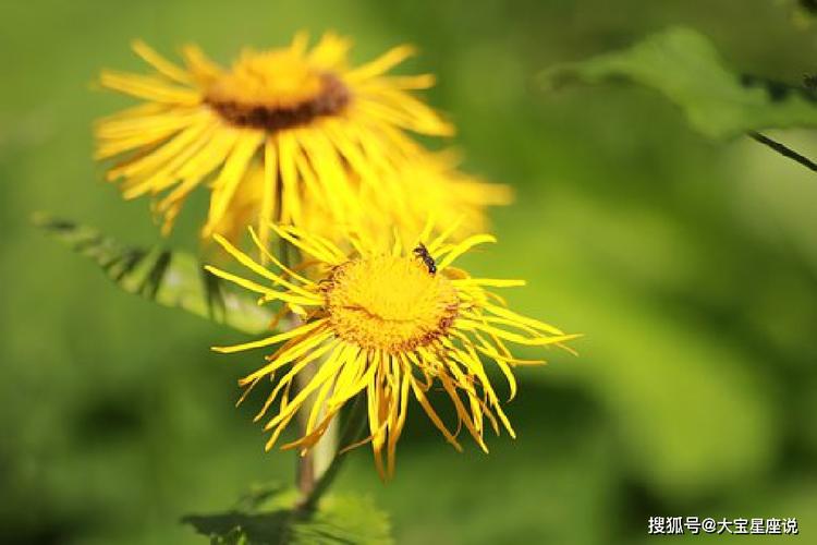 富含人生哲理的优美语句（探索自我、发现意义、追寻幸福）