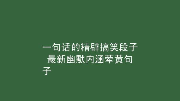 搞笑内涵的句子,幽默又有内涵的段子（内涵幽默，妙语连珠）