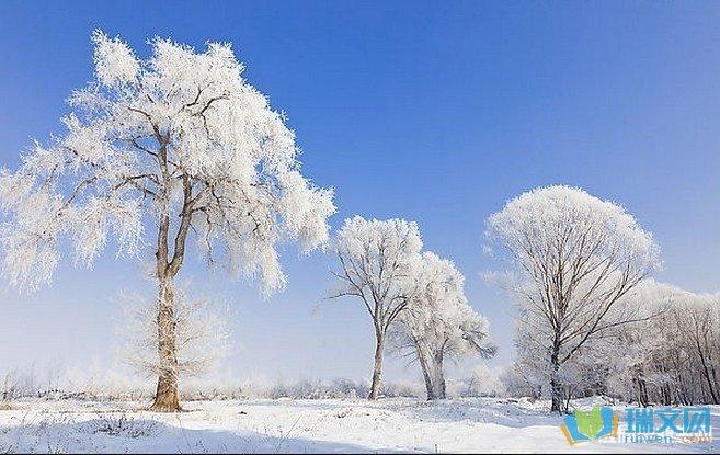 关于雪景的句子唯美短句（一场融化心灵的雪景之旅）