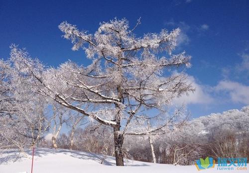 关于雪景的句子唯美短句（一场融化心灵的雪景之旅）