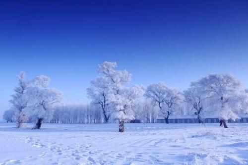 关于雪的句子唯美短句（《雪的诗意》）