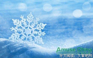 关于雪的句子唯美短句（《雪的诗意》）