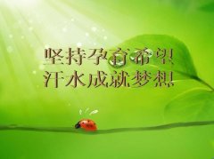 坚持梦想的句子经典语录（用心践行，梦想成真）