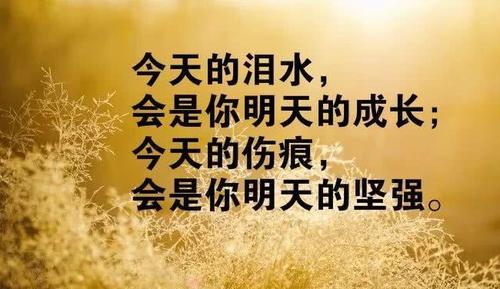 有关奋斗的语句摘抄（奋斗如飞翔——唯美短句奋斗主题文章）