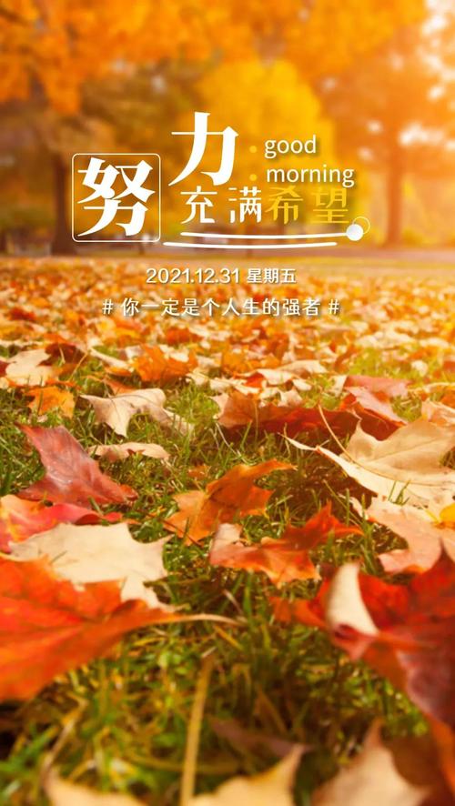 2028最后一天的文案（漫步在2023最后一天的唯美时光里）