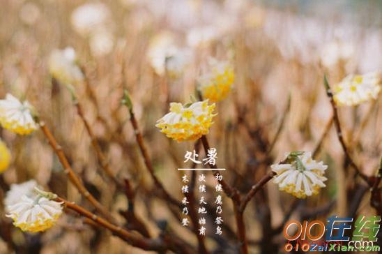 处暑简短句子（处暑祝福语：送君一句话，处暑愉悦多。）