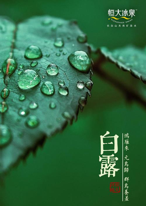 白露节气短语（白露节气祝福句子——秋高气爽，白露红叶。）