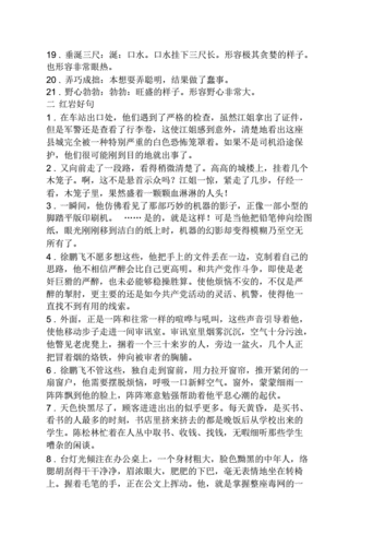 关于优美句子摘抄大全（探寻唯美之美）