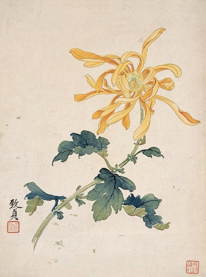 名花经典诗词有哪些（名花十首诗词）