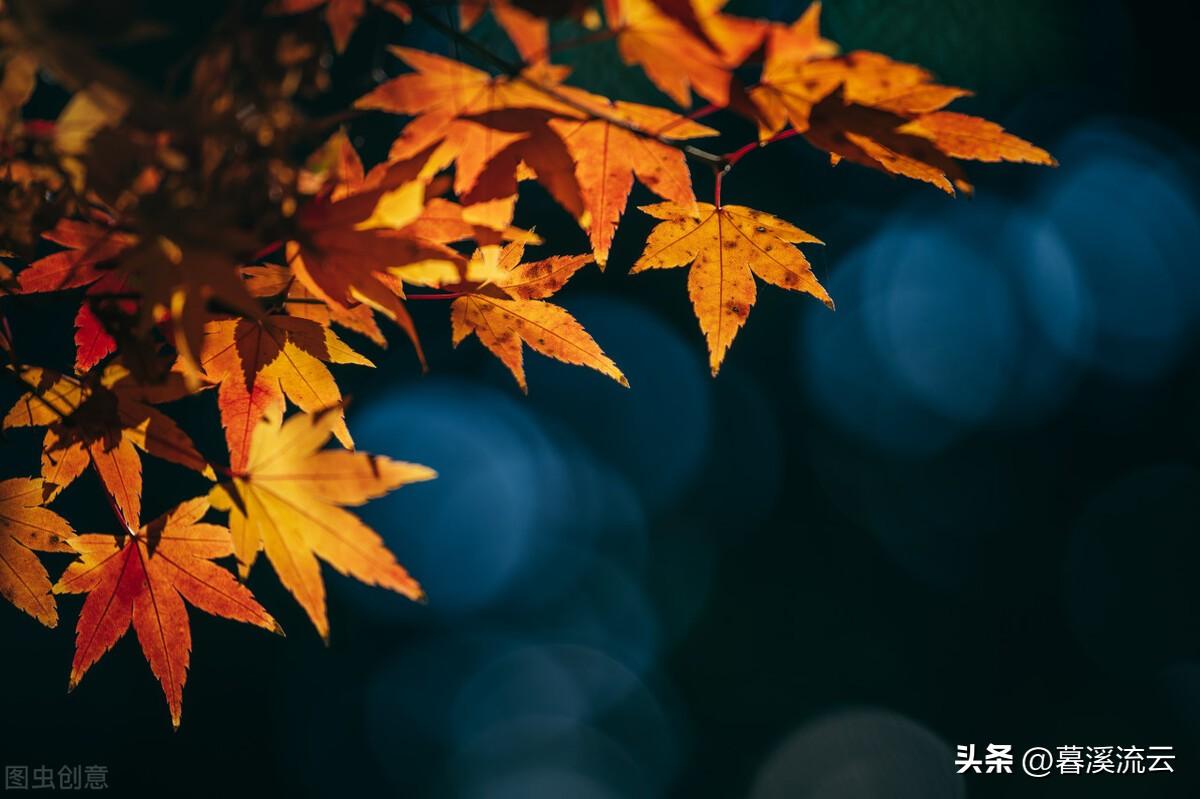 描写春天景色的古诗词（30首绝美深秋诗词）