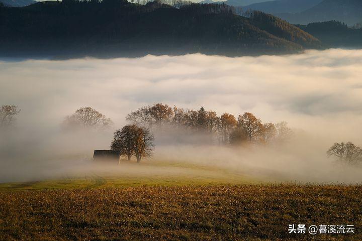 处暑哲理唯美诗词（露蝉声渐咽，秋日景初微）