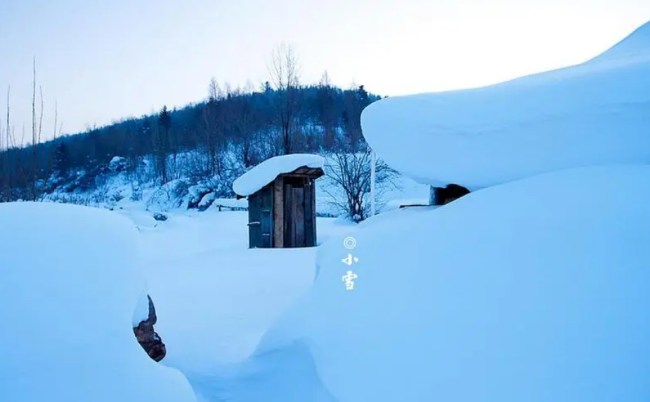 小雪经典诗词句（有关小雪的经典诗句）