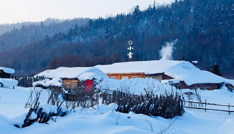 小雪经典诗词句（有关小雪的经典诗句）