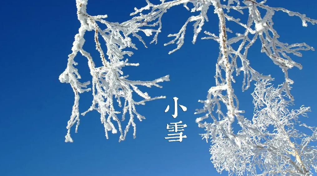 小雪经典诗词句（有关小雪的经典诗句）