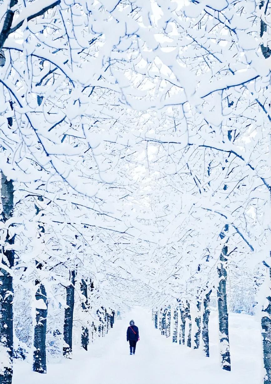 喜雪经典诗词大全（有关喜雪的诗词）