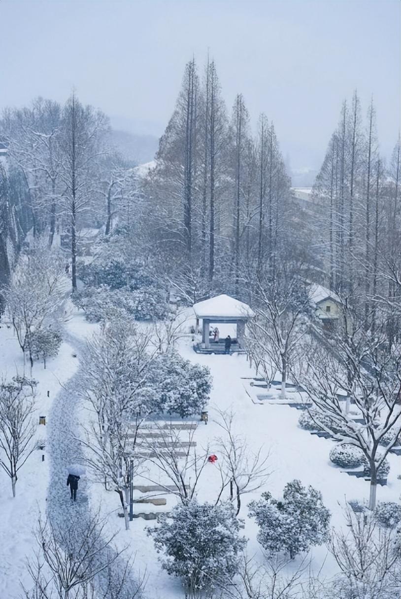 喜雪经典诗词大全（有关喜雪的诗词）