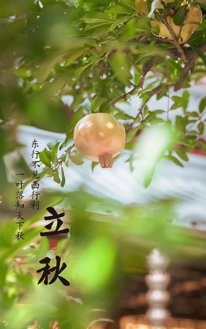 季节轮换，立秋已至（有关立秋的经典诗词）