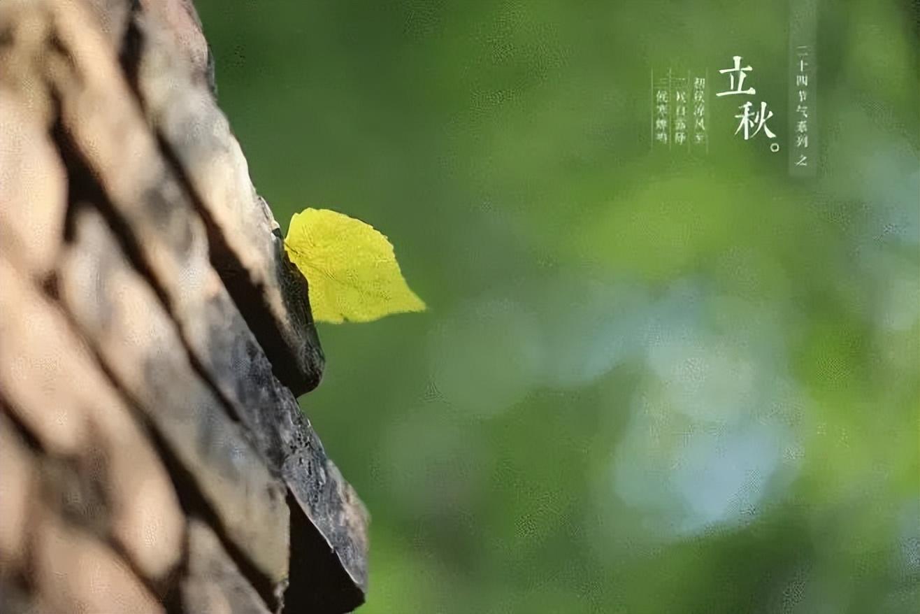 季节轮换，立秋已至（有关立秋的经典诗词）