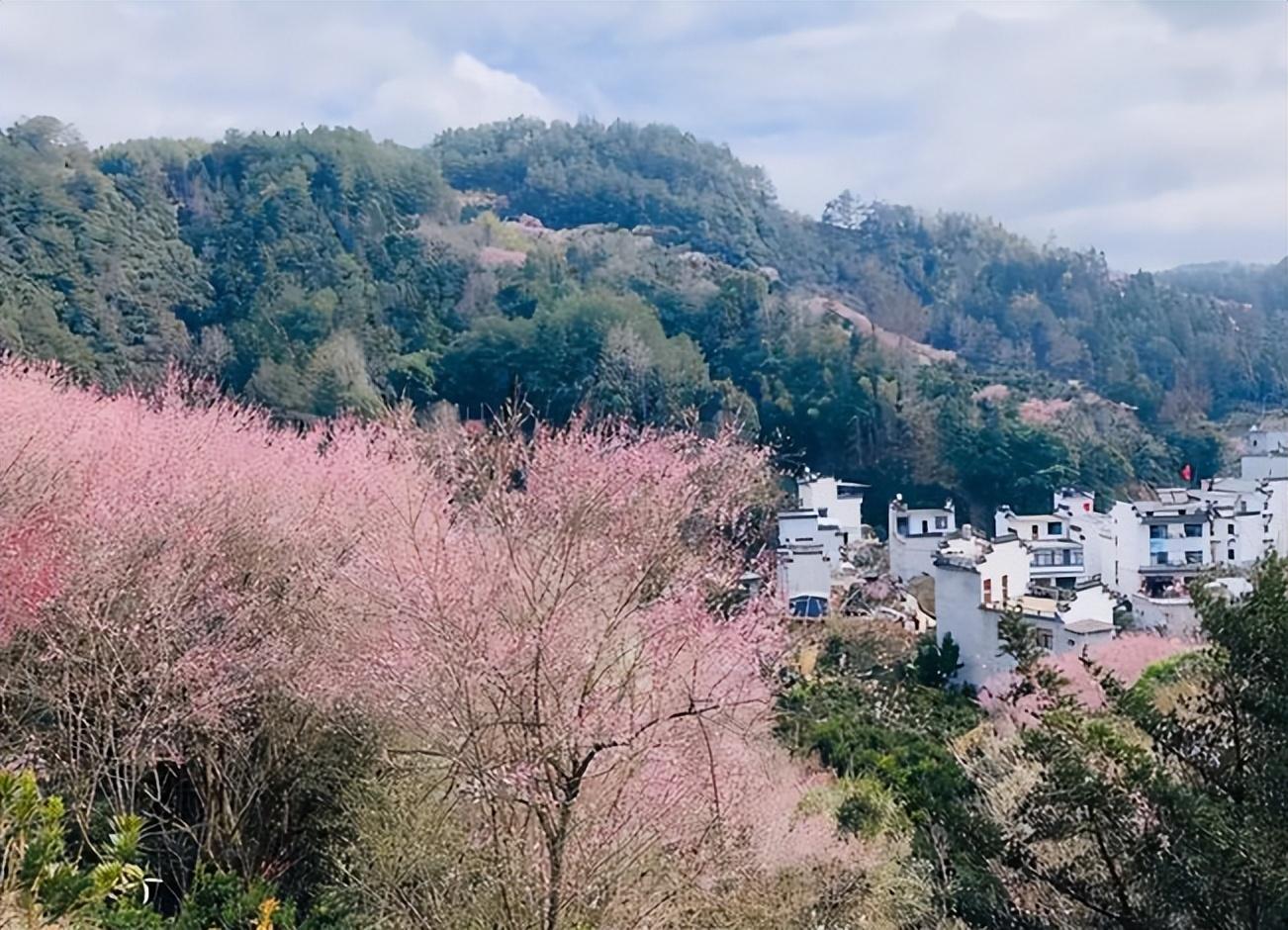 春游唯美古诗大全（莫道春光非客我，家山美景润吾情）