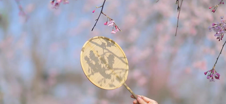 落花唯美古诗大全（有关落花的经典诗词）