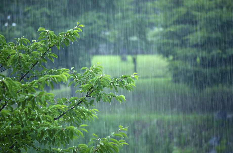 下雨唯美古诗大全（十首有关对雨的诗词）