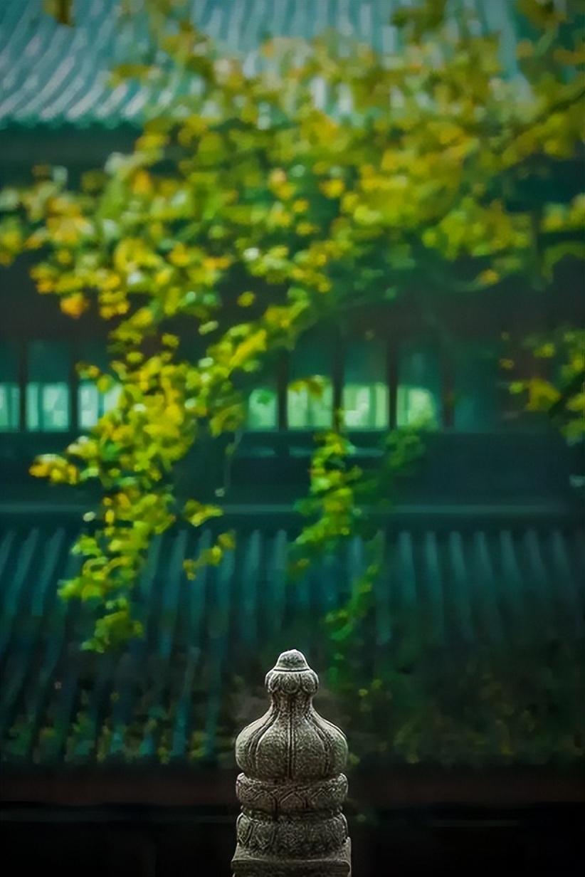 夏天雨后唯美古诗（赞美夏天唯美的经典古诗）