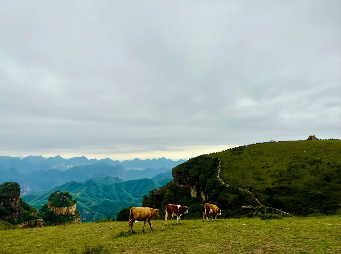 家乡唯美古诗有哪些（春游家乡诗词抒怀九）