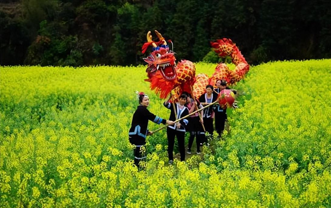 不负春光，抬头前进（二月二龙抬头古诗词）