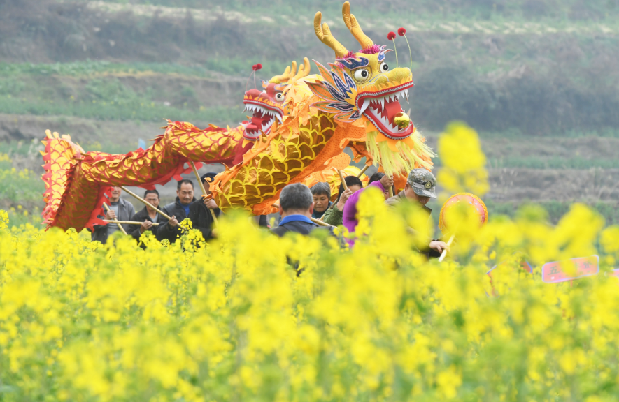 不负春光，抬头前进（二月二龙抬头古诗词）