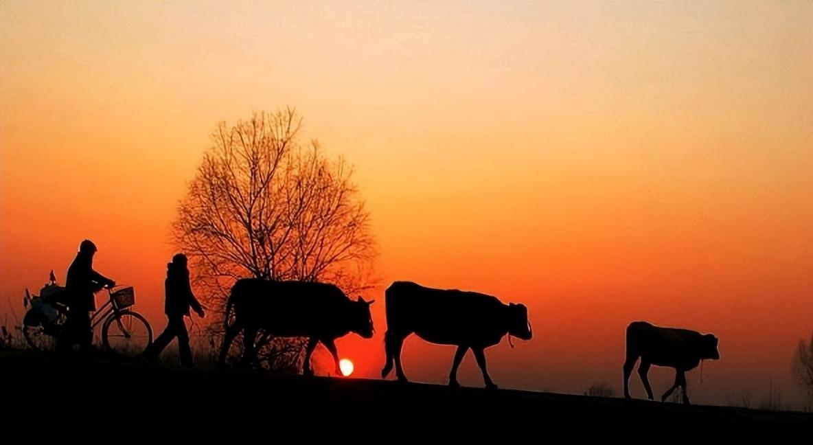 除夕诗词名句摘抄（银屏伴我清寒夜，岁守开元破晓天）