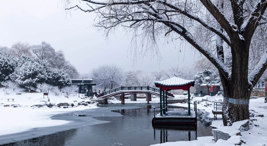 雪后诗词名句有哪些（十首雪后的经典诗词）