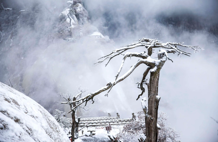 雪后诗词名句有哪些（十首雪后的经典诗词）