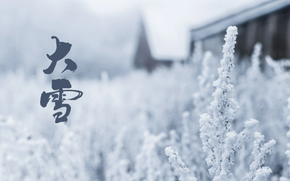 大雪经典诗词有哪些（十二首大雪的绝美诗词）