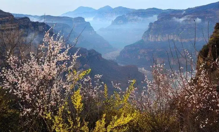 乡愁经典诗词大全（半百人生犹似梦，乡愁无限古今同）