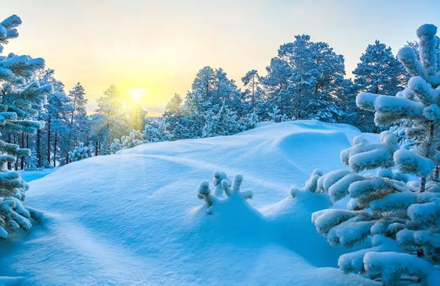 咏雪经典诗词大全（有关咏雪的经典诗词）