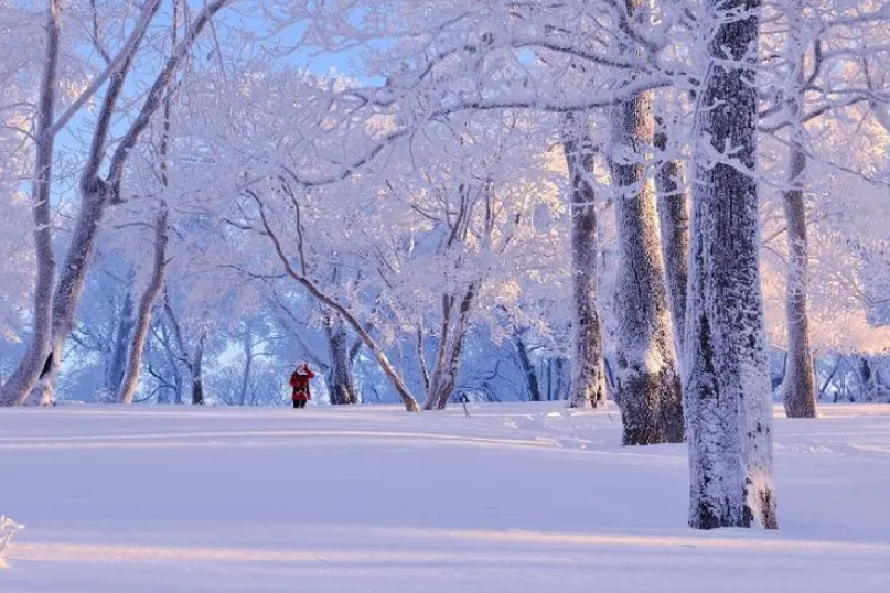 咏雪经典诗词大全（有关咏雪的经典诗词）