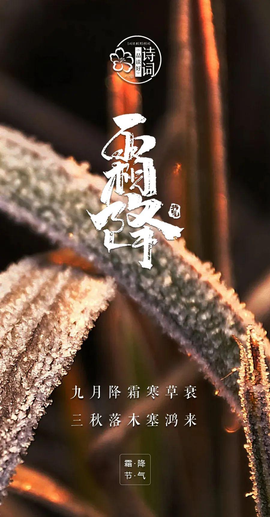 有关霜降经典的诗词（人间霜花白 从容向寒迈）