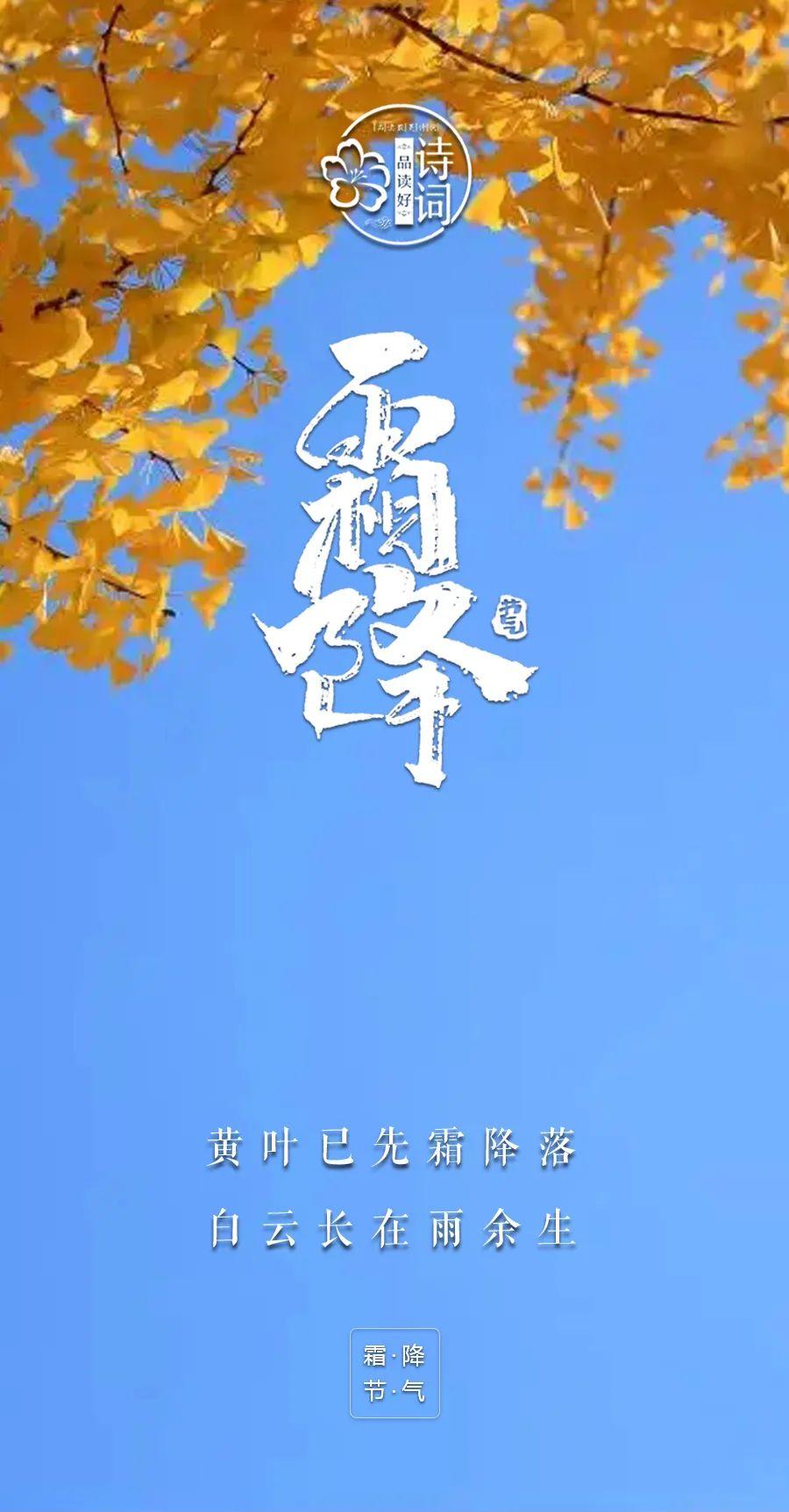 有关霜降经典的诗词（人间霜花白 从容向寒迈）