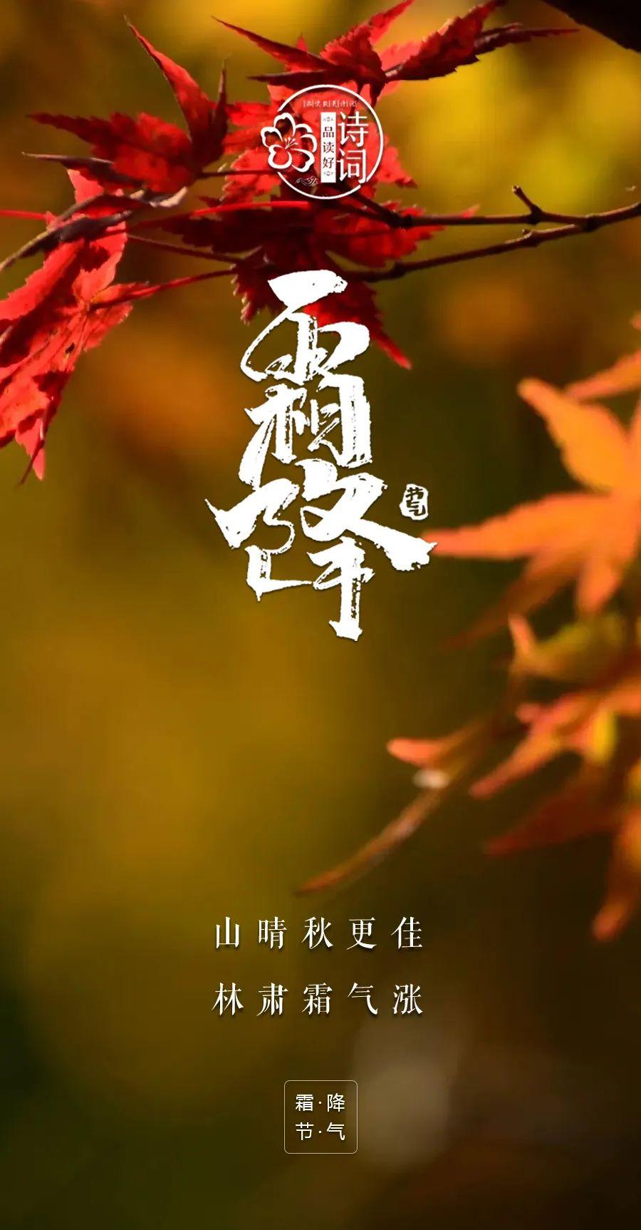 有关霜降经典的诗词（人间霜花白 从容向寒迈）