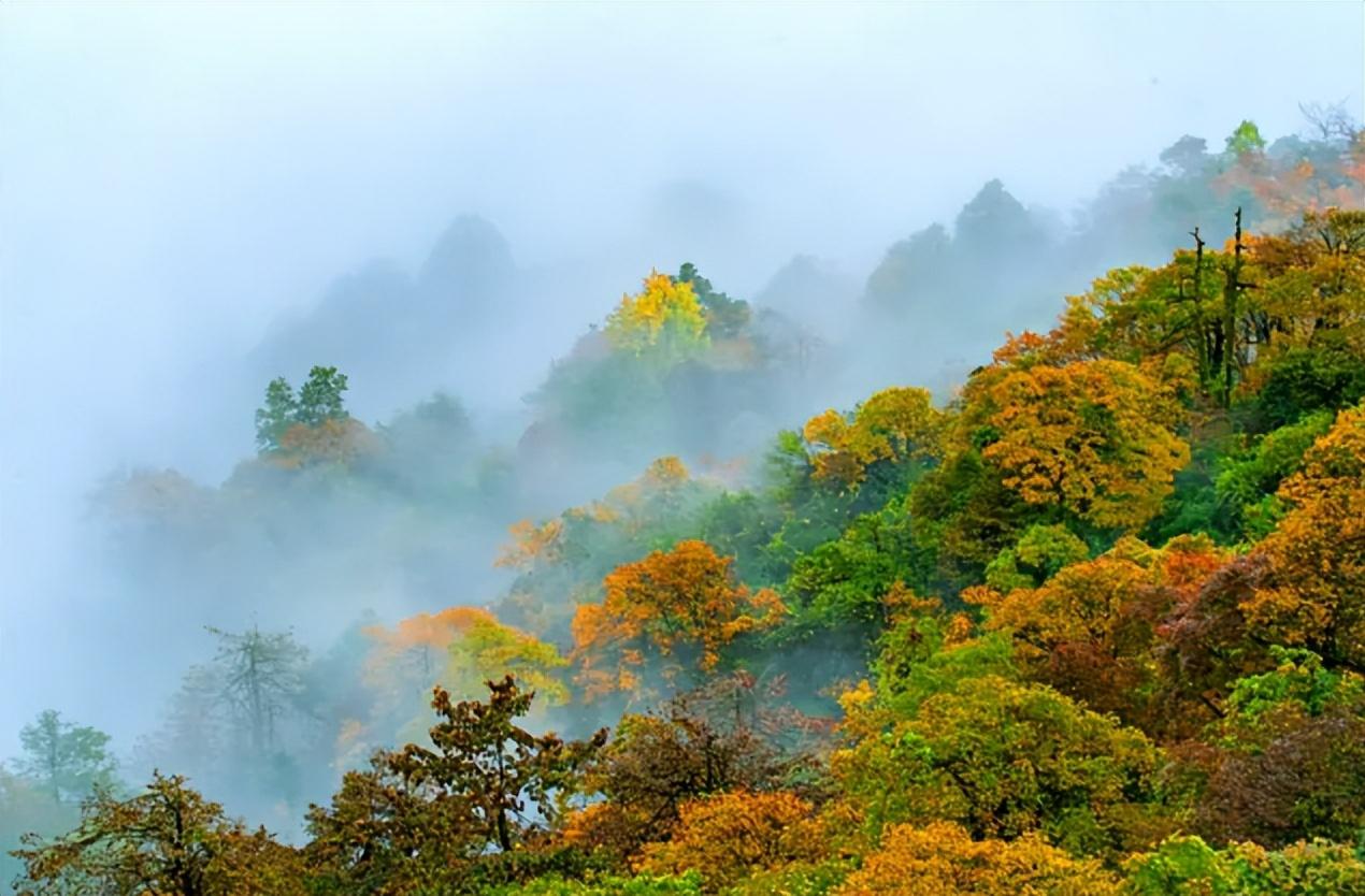 秋山经典诗词有哪些（十首秋山的经典诗词）