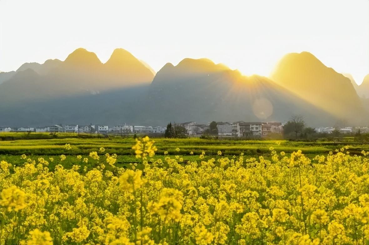 夕阳经典诗词名句（看淡辱荣和得失，高楼正对夕阳红）